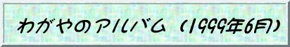 �킪��̃A���o��